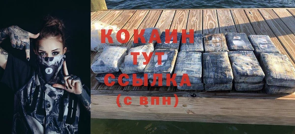 МДПВ Семилуки