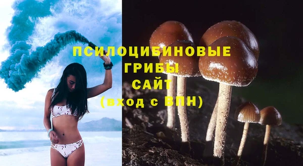 mdpv Волосово